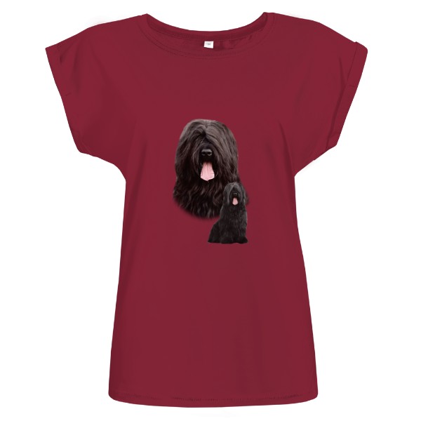 Briard