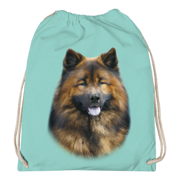 Eurasier