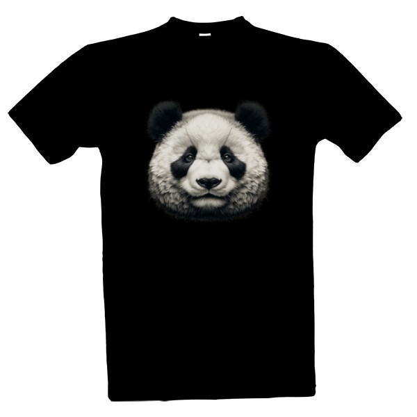 Medvídek panda