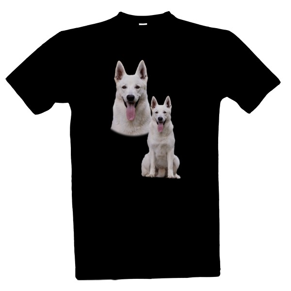 Bílý švýcarský ovčák