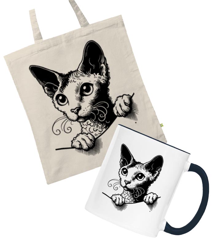 Zvědavej Cornish Rex
